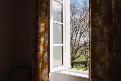 an open window with a view of a tree at Château de la Bousquetarie in Lempaut