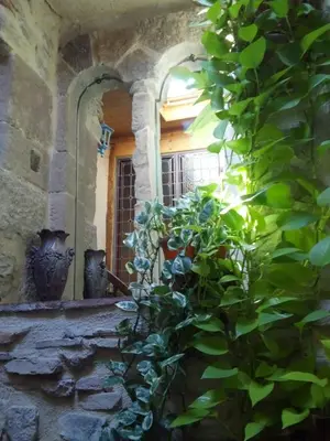 a green plant in front of a window at Riverside Home Cottage in Trèbes