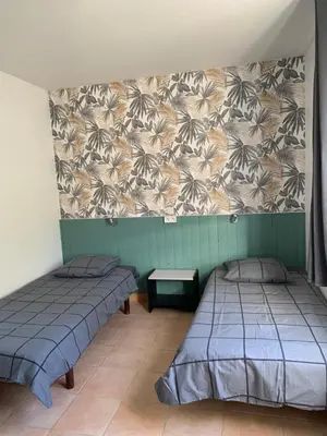 a room with two beds and a wall with a wallpaper at gîtes 