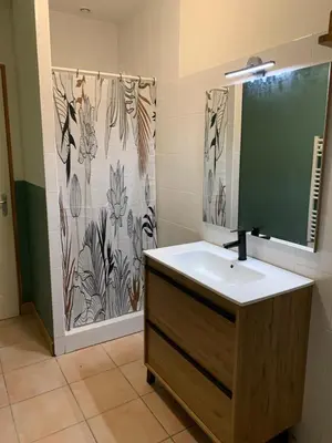 a bathroom with a sink and a shower curtain at gîtes 