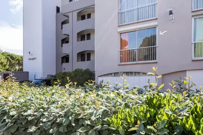 a hedge in front of a building at Studio La Presqu'île 2 in Gruissan