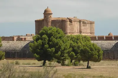 two trees in a field in front of a castle at Petite Chouette in Salses-le-Chateau