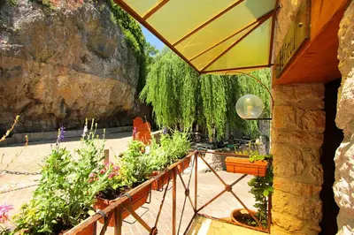 a garden with potted plants on a patio at Hostellerie du Vieux Moulin in Duilhac
