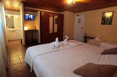 a bedroom with two beds with birds on them at Logis Hôtel LE PRESSOIR in Saint-Chinian