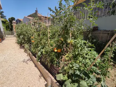 a garden filled with lots of tomatoes and other vegetables at The Cottage, Clos des Archers in Aigues-Vives