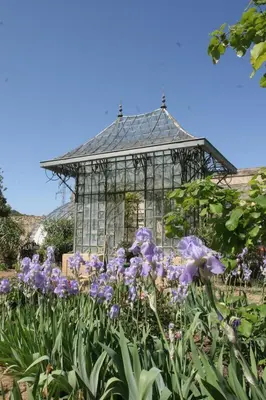 a garden with purple flowers in front of a gazebo at Gîtes la Vernède in Nissan-lez-Enserune