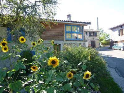 a field of sunflowers in front of a house at Gite Sent Martin in Roquefixade