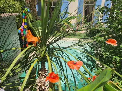 a colorful kite sitting on top of a plant at H2o Chambres d'Hôtes in Peyriac-de-Mer
