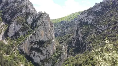 a view of a mountain with trees on it at L'Envolée in Belvianes-et-Cavirac