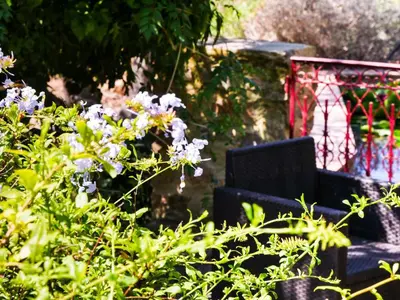 a black chair in a garden with purple flowers at La bergerie du chateau de Fitou in Fitou