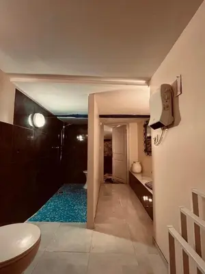 a bathroom with a toilet and a blue carpet at Les Balcons du Pastel in Puylaurens