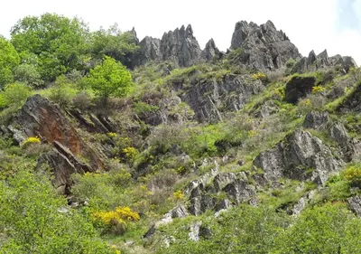 a rocky mountain with plants and trees on it at Gîte rural La Bergerie du Sant in Massaguel