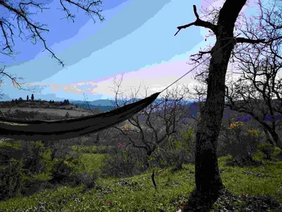 a hammock hanging from a tree in a field at Terres de Barréjat in Cazals-des-Baylès
