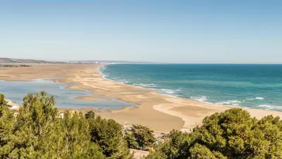 a view of a beach with trees and the ocean at La Turquoise in Caves