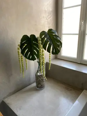 a plant in a vase on a table next to a window at Le Logis GOUT in Carcassonne