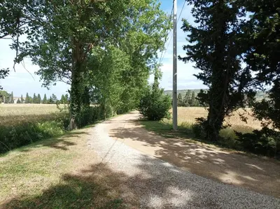 a dirt road with trees on the side of a field at Domaine Le Piboul in Fontcouverte