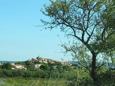 a tree in front of a village on a hill at Fisherman's View in Bages
