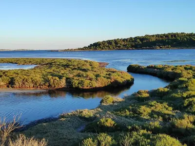 a river with islands in the water and trees at Fisherman's View in Bages