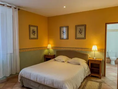 a bedroom with a large bed and two lamps at Hôtel d'Alibert in Caunes-Minervois