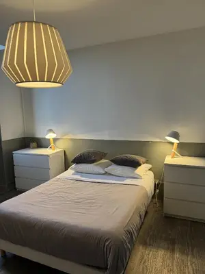 a bedroom with a large bed with two night stands at Maison Bacou cité 3 in Carcassonne