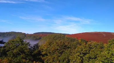 a view of a forest with fog in the hills at Gîte de Rouayras in Nages