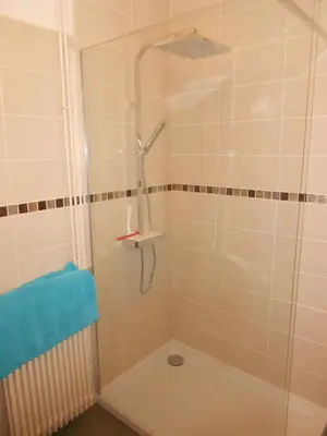 a shower with a glass door in a bathroom at Cammas de Bas in Montréal