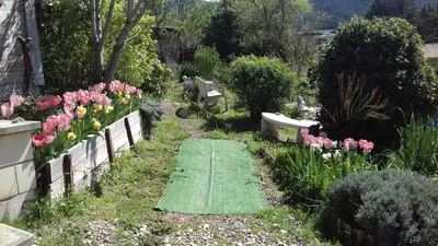 a garden with pink tulips and a green walkway at Le gite de Cristal proche Bugarach in Granès