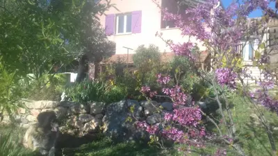 a garden in front of a house with purple flowers at Le gite de Cristal proche Bugarach in Granès