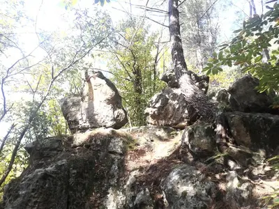 a large rock in the middle of a forest at Le gite de Cristal proche Bugarach in Granès