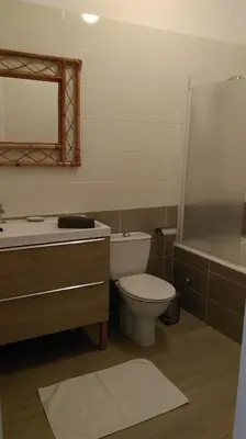 a bathroom with a toilet and a sink and a shower at Le Moulin de l'Abbé in Sorèze