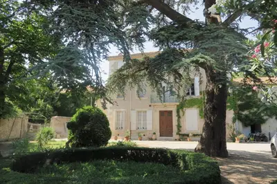 a large tree in front of a house at Le Domaine de Fraissinet in Ouveillan