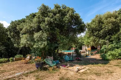 a yard with a large tree and a playground at Gite Soyez in Vélieux
