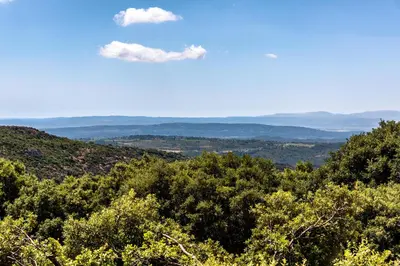 a cloud in the sky above the trees at Gite Soyez in Vélieux