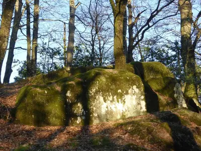 a large rock with a tree on top of it at La Bouriotte Chambre d'hôtes Bouton D'Or in Labastide-Rouairoux