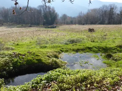a field with a pond in the middle of a field at La Bouriotte Chambre d'hôtes Bouton D'Or in Labastide-Rouairoux