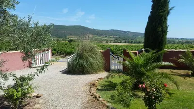 a garden with a view of a vineyard at L'Ispanina in Thézan-des-Corbières