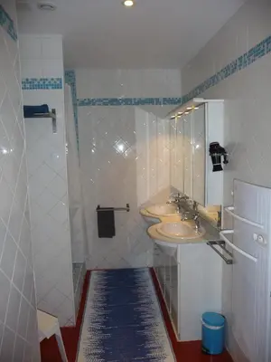 a bathroom with a sink and a shower at Appartement au coeur de Carcassonne in Carcassonne