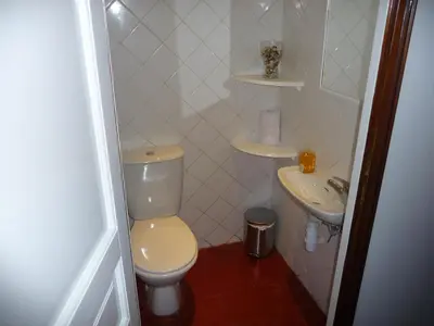 a small bathroom with a toilet and a sink at Appartement au coeur de Carcassonne in Carcassonne