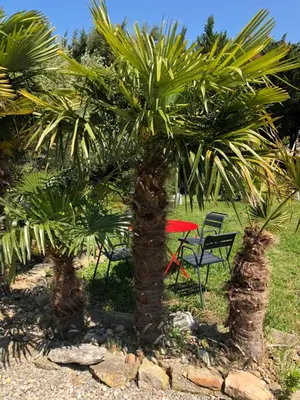 a table and a chair under two palm trees at Aux Belles Vacances - ADULTS ONLY in Caux-et-Sauzens