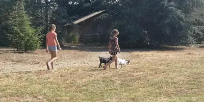 two girls walking their dogs in a field at Domaine de la Vitarelle Glamping in Villanière
