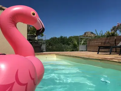 a pink flamingo in the water in a pool at La Forge in Montséret