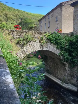 an old stone bridge over a stream with flowers at Les Volets Verts in Miraval-Cabardès