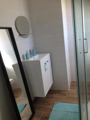 a bathroom with a sink and a mirror at grand studio des rivages cathares in Carcassonne
