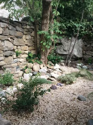 a stone wall with a tree in front of it at Maison Ancienne Minervois in La Caunette