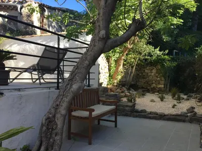 a bench sitting under a tree in a yard at Maison Ancienne Minervois in La Caunette