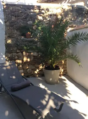a plant in a pot next to a stone wall at Maison Ancienne Minervois in La Caunette