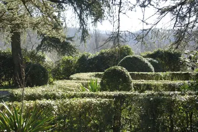 a garden with a bunch of bushes and trees at La Lauze in Vielmur-sur-Agout