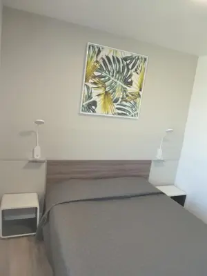 a bedroom with a bed and a picture on the wall at Le 81 HOTEL in Castres