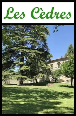 a picture of a tree in front of a house at Les cèdres in Chalabre