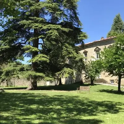 Les cèdres